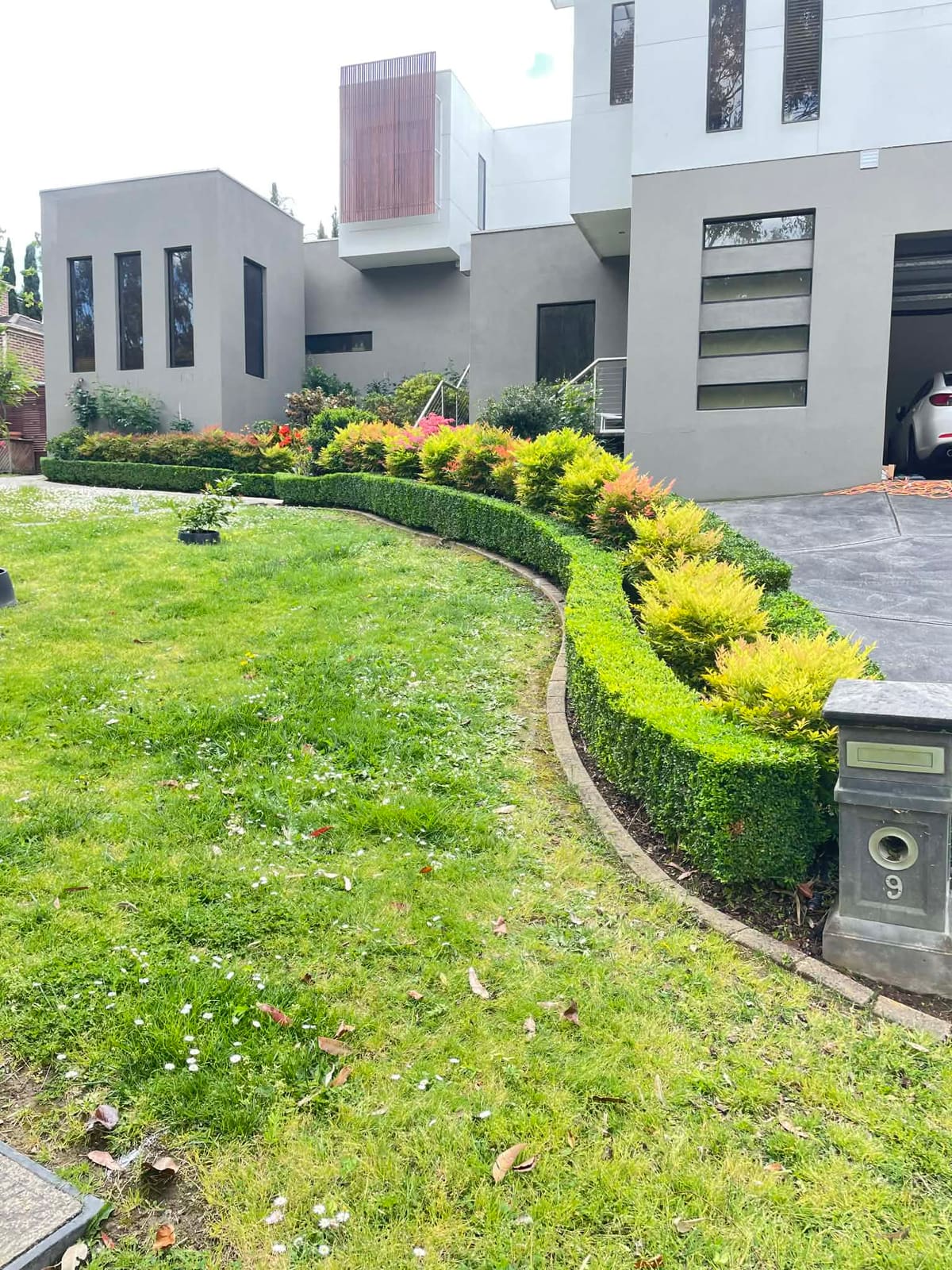 Neatly trimmed hedge in a Doncaster garden