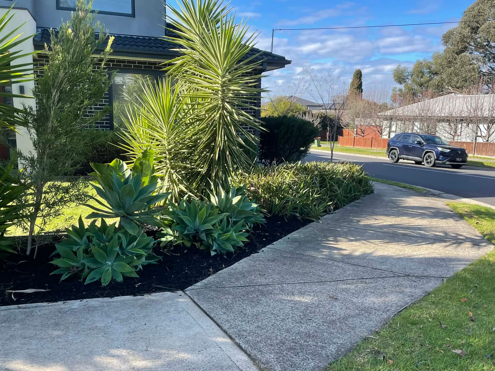 Freshly mowed lawn in Melbourne's Eastern Suburbs