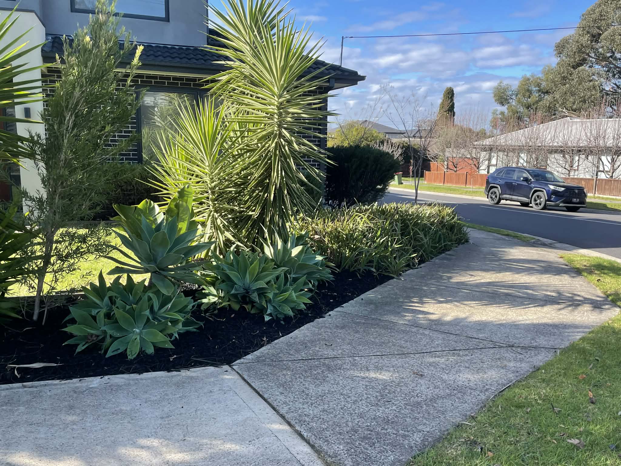 Freshly mowed lawn in Melbourne's Eastern Suburbs