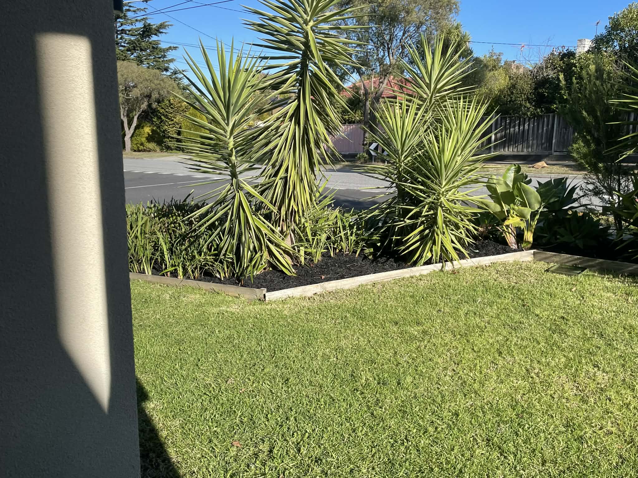 Front yard landscaping and plant installation in Vermont